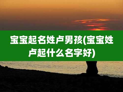 宝宝起名姓卢男孩(宝宝姓卢起什么名字好)