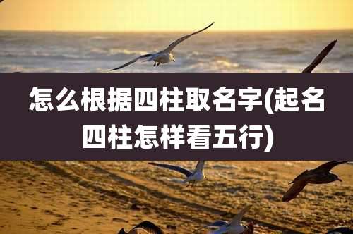 怎么根据四柱取名字(起名四柱怎样看五行)