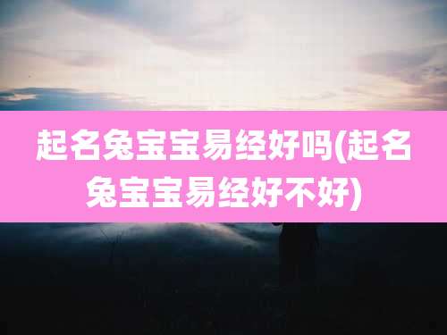 起名兔宝宝易经好吗(起名兔宝宝易经好不好)