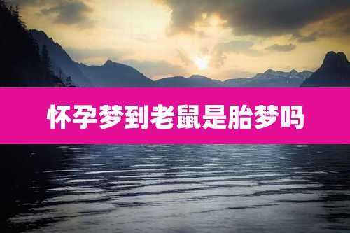 怀孕梦到老鼠是胎梦吗