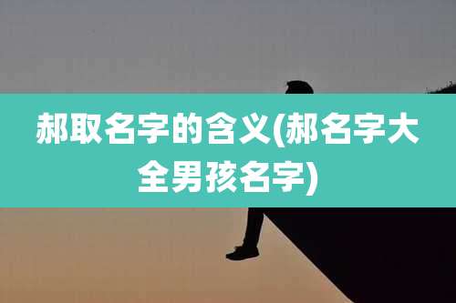 郝取名字的含义(郝名字大全男孩名字)