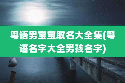 粤语男宝宝取名大全集(粤语名字大全男孩名字)