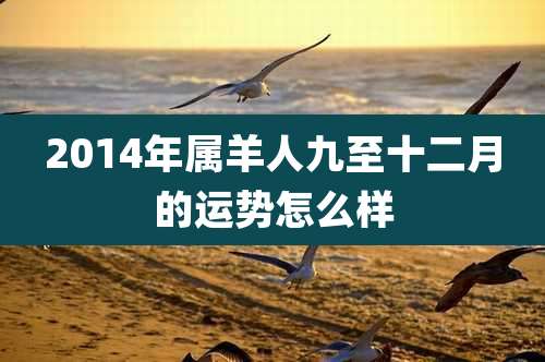 2014年属羊人九至十二月的运势怎么样