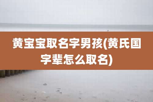 黄宝宝取名字男孩(黄氏国字辈怎么取名)
