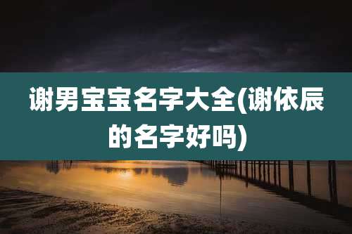 谢男宝宝名字大全(谢依辰的名字好吗)
