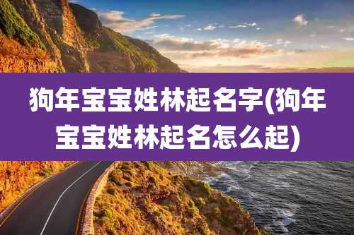 狗年宝宝姓林起名字(狗年宝宝姓林起名怎么起)