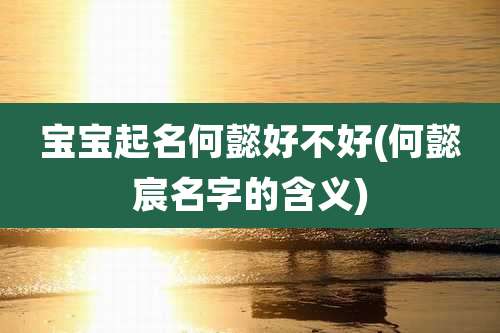宝宝起名何懿好不好(何懿宸名字的含义)
