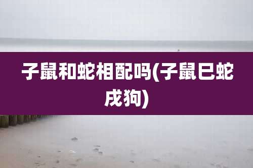 子鼠和蛇相配吗(子鼠巳蛇戌狗)