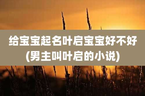 给宝宝起名叶启宝宝好不好(男主叫叶启的小说)