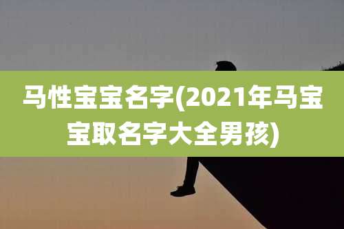 马性宝宝名字(2021年马宝宝取名字大全男孩)