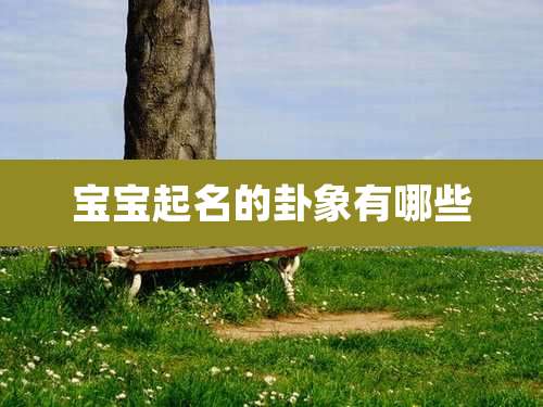 宝宝起名的卦象有哪些