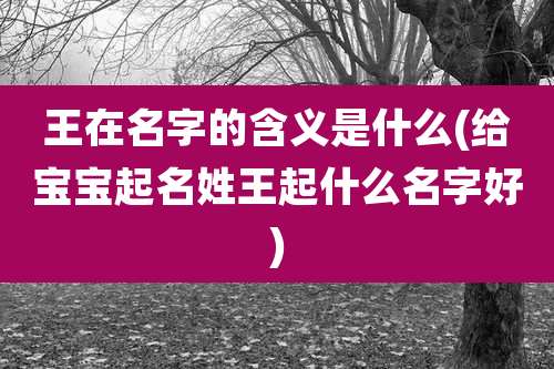 王在名字的含义是什么(给宝宝起名姓王起什么名字好)