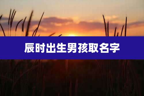 辰时出生男孩取名字