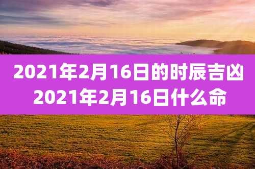 2021年2月16日的时辰吉凶 2021年2月16日什么命