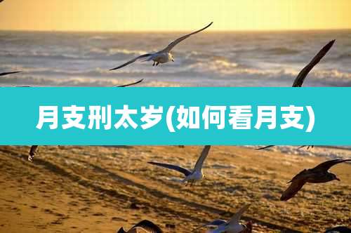 月支刑太岁(如何看月支)