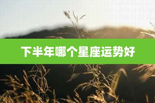 下半年哪个星座运势好