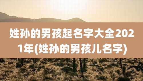 姓孙的男孩起名字大全2021年(姓孙的男孩儿名字)