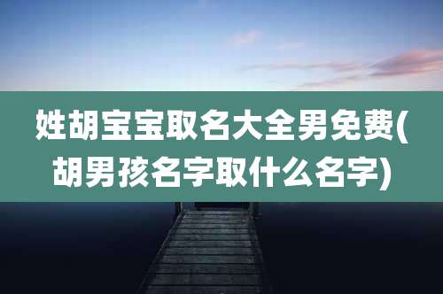 姓胡宝宝取名大全男免费(胡男孩名字取什么名字)