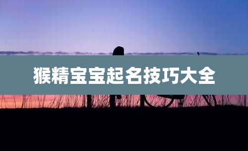 猴精宝宝起名技巧大全