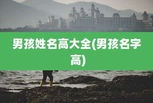 男孩姓名高大全(男孩名字 高)