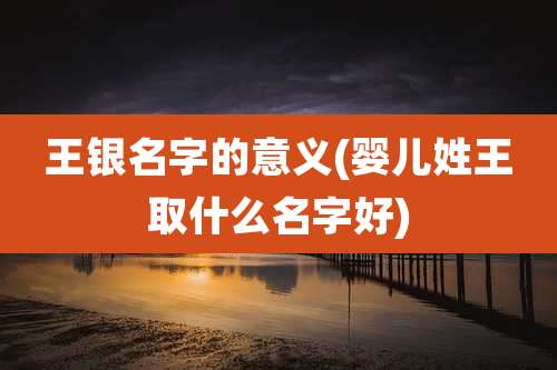 王银名字的意义(婴儿姓王取什么名字好)