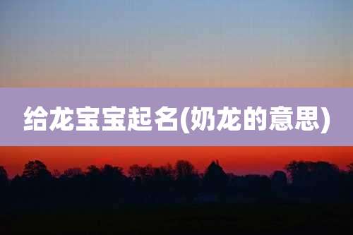 给龙宝宝起名(奶龙的意思)