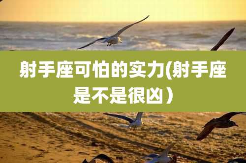 射手座可怕的实力(射手座是不是很凶)