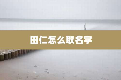 田仁怎么取名字
