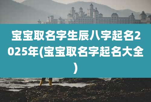 宝宝取名字生辰八字起名2025年(宝宝取名字起名大全)