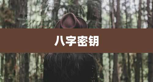 八字密钥