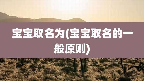 宝宝取名为(宝宝取名的一般原则)