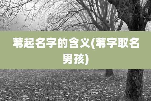 苇起名字的含义(苇字取名男孩)