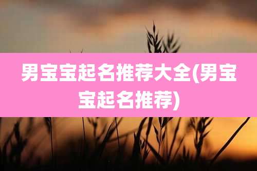 男宝宝起名推荐大全(男宝宝起名推荐)