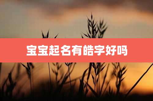 宝宝起名有皓字好吗
