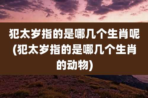 犯太岁指的是哪几个生肖呢(犯太岁指的是哪几个生肖的动物)