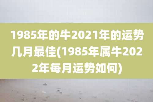 1985年的牛2021年的运势几月最佳(1985年属牛2022年每月运势如何)