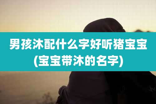 男孩沐配什么字好听猪宝宝(宝宝带沐的名字)