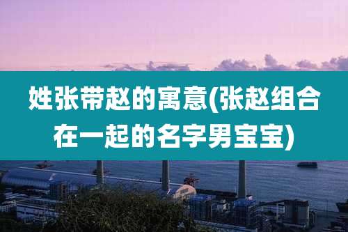 姓张带赵的寓意(张赵组合在一起的名字男宝宝)