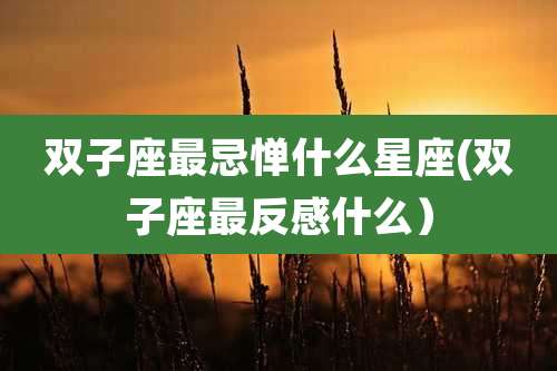 双子座最忌惮什么星座(双子座最反感什么）