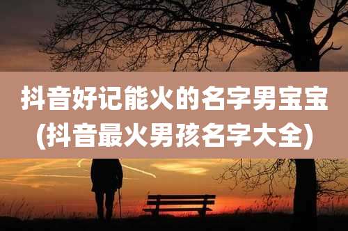 抖音好记能火的名字男宝宝(抖音最火男孩名字大全)