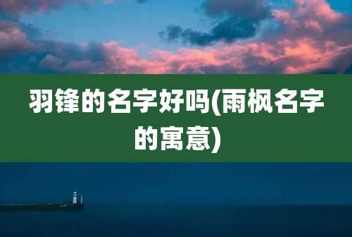 羽锋的名字好吗(雨枫名字的寓意)