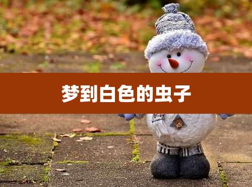 梦到白色的虫子