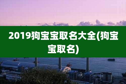 2019狗宝宝取名大全(狗宝宝取名)