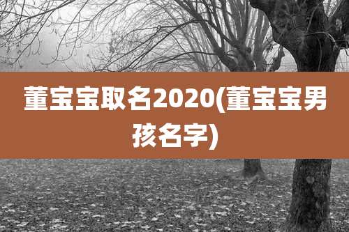 董宝宝取名2020(董宝宝男孩名字)
