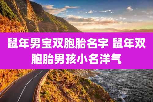 鼠年男宝双胞胎名字 鼠年双胞胎男孩小名洋气