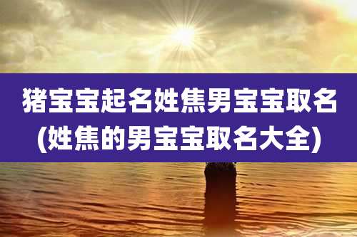 猪宝宝起名姓焦男宝宝取名(姓焦的男宝宝取名大全)