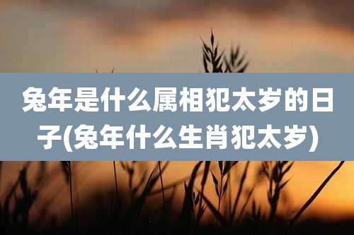 兔年是什么属相犯太岁的日子(兔年什么生肖犯太岁)
