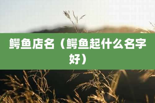 鳄鱼店名（鳄鱼起什么名字好）
