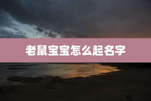老鼠宝宝怎么起名字