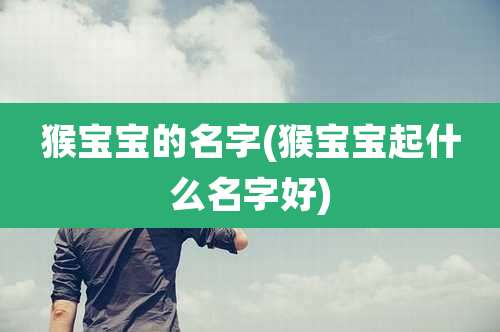 猴宝宝的名字(猴宝宝起什么名字好)